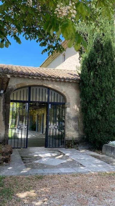 Au Mas Des Glycines - Gite La Tropezienne - 5 Personnes Camaret-sur-Aigues Екстериор снимка
